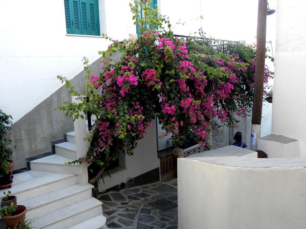 Hotel Anixis Naxos City Exteriör bild