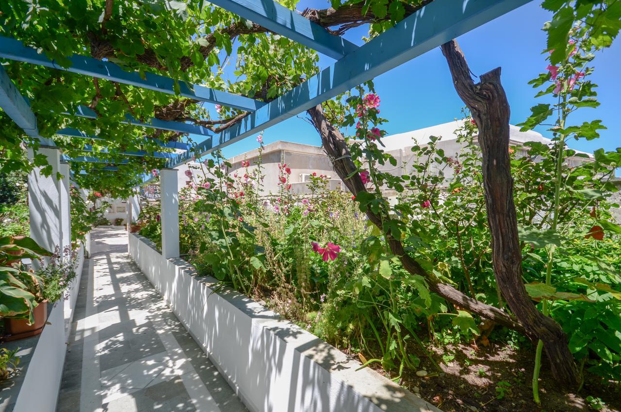 Hotel Anixis Naxos City Exteriör bild